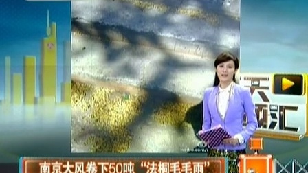 天天视频汇 2013 南京大风卷下50吨
