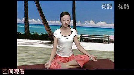 非常好的孕妇瑜伽视频教程初级
