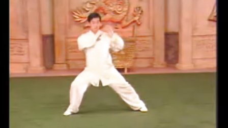 陈正雷太极拳老架一路74式第一段分解教学