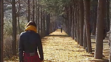 标点旅游 高颖的韩国印象：浪漫南怡岛