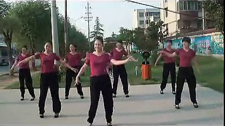 《荷塘月色》广场舞蹈视频大全 广场舞教学_标清