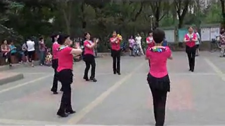 北京芳馨舞蹈队表演广场舞《万物生》
