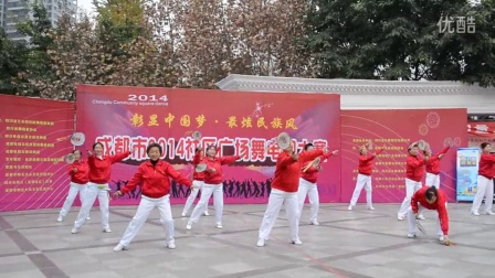 2014社区广场舞比赛新华公园队表演绿旋风