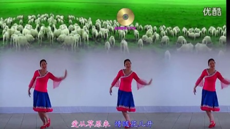 美久广场舞【爱从草原来】附背面演示广场舞健身操教学视频