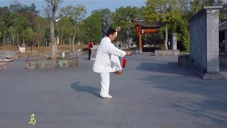 武当丹剑（带剑谱）_标清