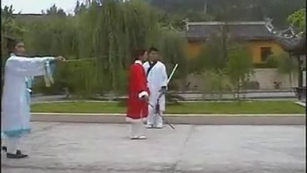 武当蛇形剑教学 05  游明生_标清