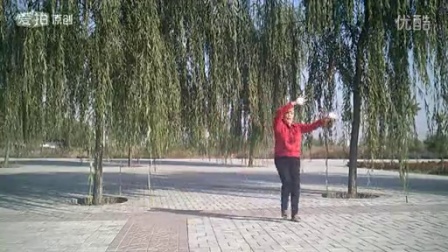 （33）32步《我要去西藏》张子荣广场舞-2015.10.16