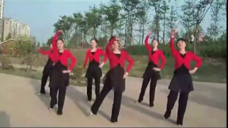 广场舞蹈视频大全2015《我从草原来》分解正反背面教学广场舞