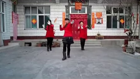 邢台市东北流三人组中老年广场舞之心在跳情在烧_标清