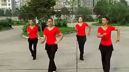 广场舞教学--《印度桑巴》热门舞曲2015广场舞蹈视频大全
