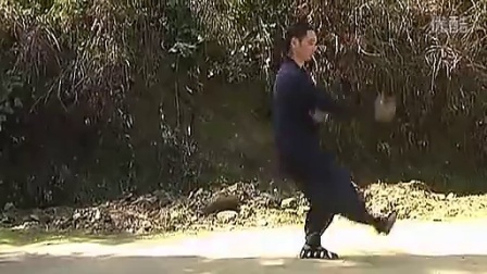自学中国功夫武当玄武拳分解教学10