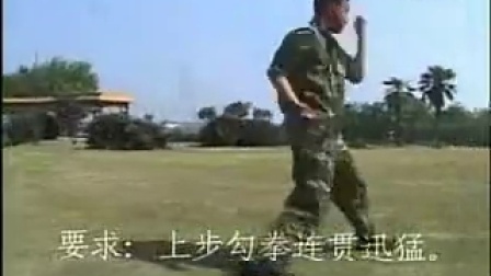 自学中国功夫第二套擒敌拳全套分解动作_4