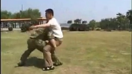 自学中国功夫第二套擒敌拳全套分解动作3