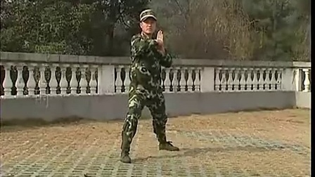 第三套擒敌拳分解教学3