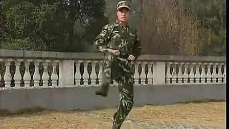 第三套擒敌拳分解教学2