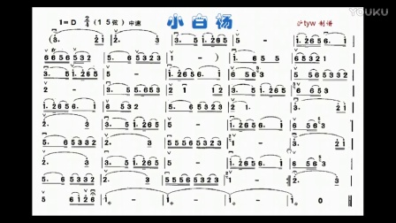 二胡小白杨曲谱_小白杨曲谱