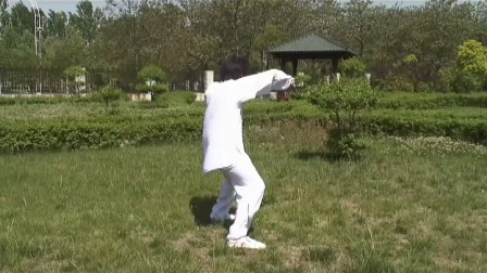 南冷太极拳74式（秦亮）