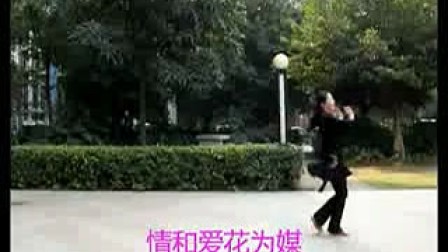 曾惠林舞蹈系列民族舞蹈-广场舞-形体舞芦花《正面》《背面》