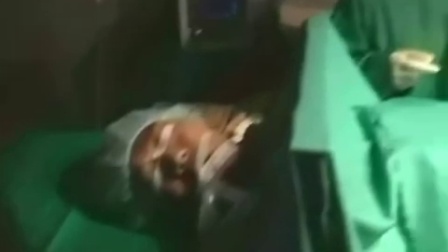 0541040858D5B88F6F0A5E0387ED1ED4