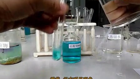 8.酸性硫酸铜溶液与氢氧化钠溶液作用G_标清