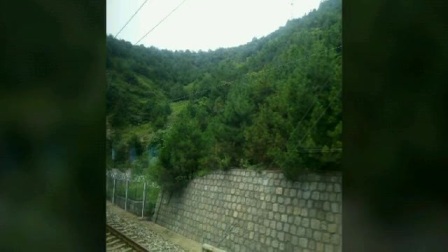 05410408592BAE531E59883C8C0729E1