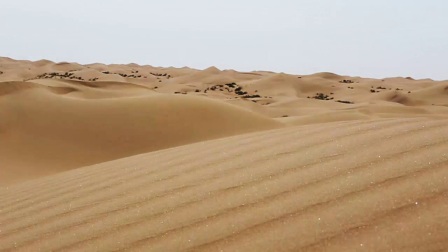 《丝路边疆行走进阿拉善》第一集沙漠英雄