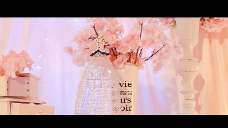 7月16日 爱情故事婚礼策划   花絮预告   ——V1兄弟婚礼电影出品