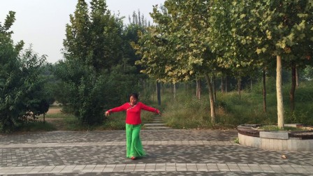 自由舞蹈队杨艺艺莞尔广场舞《东方红》