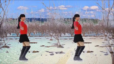 点击观看《阳光溪柳广场舞 九寨沟的春天 风景优美的广场舞抠像》