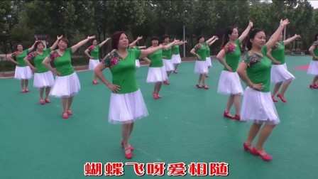 点击观看《获嘉艳霞广场舞 19人变队形 春天蝴蝶飞 绿色的广场舞服装》