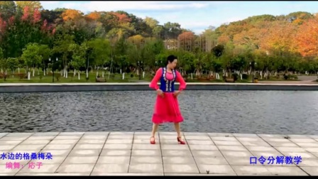 点击观看《応子广场舞 水边的格桑梅朵 正反面附口令分解藏舞教学分解》