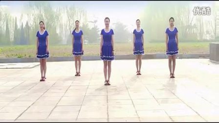 2014最新广场舞蹈视频大全 广场舞教学 打住打住_标清