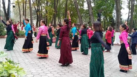 藏族锅庄舞视频（444）《迎宾曲》西宁人民公园郁金香锅庄队11