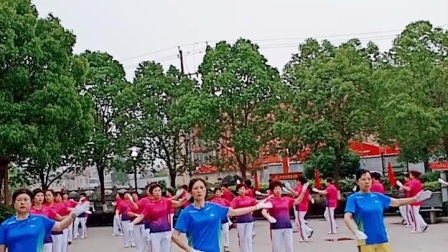 宜山隹木斯健身舞蹈队李雪