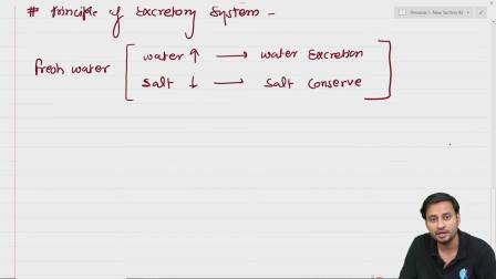 Endocrine System in Animal Biology (Complete Details) ｜ L5