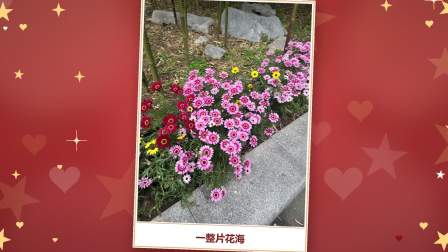 婚礼故事影集_王金鑫_魏博_2026年9月26日_活泼版