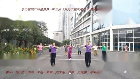 乐山暖阳广场健身舞--中三步《月光下的凤尾竹 》集体练习版