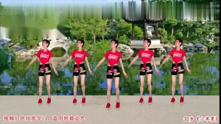 热门神曲《小苹果》广场舞，动感时尚32步简单易学，分享给您！