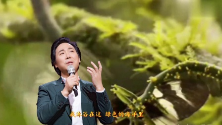 大森林的早晨简谱高清_早晨森林阳光高清图片(2)