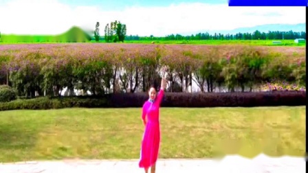 峡谷视频广场舞《红枣树》