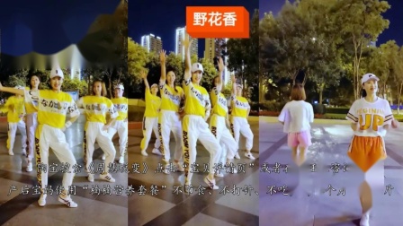 广场舞视频大全《野花香》16步减肥舞蹈，真的很简单有慢动作教学！