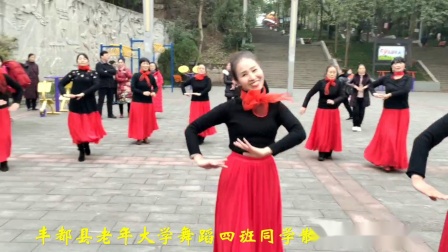 2021年丰都县老年大学舞蹈四班散学联欢