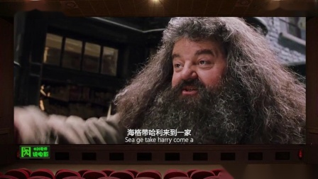 【刘老师】爆笑解说天才魔法少年怒怼无眉老汉的电影《哈利·波特与魔法石》