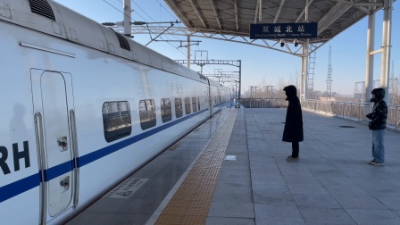 2024年12月22日，D523次（吉林站-哈尔滨西站）本务中国铁路沈阳局集团有限公司沈阳动车段长春动车运用所CRH5G-5168+5164双城北站进站