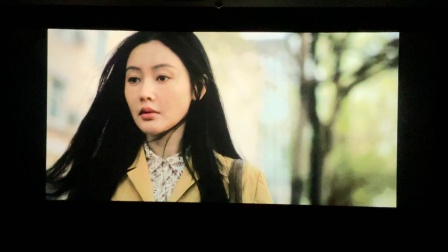 一个男人和一个女人我看见两朵一样的云小猪佩奇完美假期八仙魔方小姐大唐妖探为我的心动买单寒战1994森中有林纵横四海消失的人神探之痕迹预告片