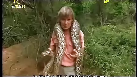 蛇王 奥斯丁