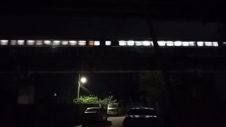 DF11G 0172和DF11G 0187牵引Z502次列车快速通过西江大桥-3