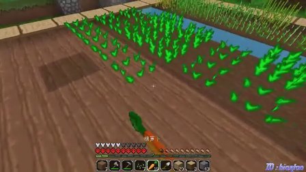 【我的世界扁桃极限03】扩建农田_极限生存_Minecraft_