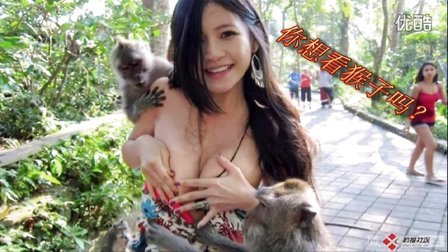 当美女被猴子hehe后！【饥荒：海难】第四期 猴王水帘洞！！