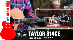Taylor 814CE巴西玫瑰木vs印度玫瑰木 吉他音色对比 flymusic